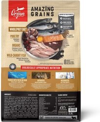 ORIJEN Amazing Grains Puppy Dry Dog Food, 4-lb bag slide 2 of 9