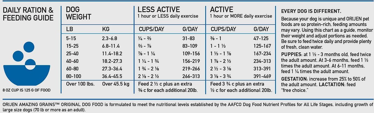 Orijen puppy feeding sales guide