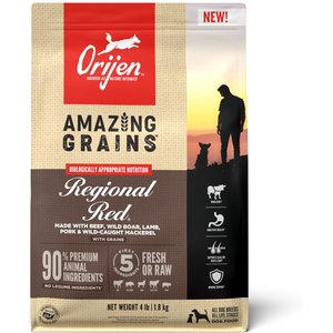ORIJEN Amazing Grains Regional Red Dry Dog Food, 4-lb bag