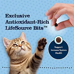 Blue Buffalo Baby Blue Healthy Growth Formula Grain-Free High Protein Chicken & Pea Recipe Kitten Dry Food, 4.5-lb bag