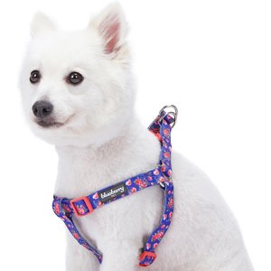 Blueberry Pet Step-in Spring Scent Inspired Rose Print Dog Harness, Small: 16.5 to 21.5-in chest