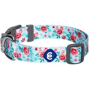 Blueberry Pet Essentials Spring Scent Inspired Garden Floral Adjustable Dog Collar, Pastel Blue, Medium: 14.5 to 20-in neck