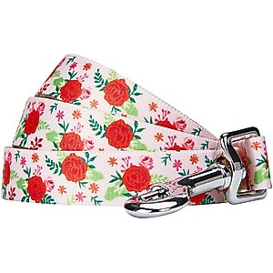 Blueberry Pet Essentials Spring Scent Inspired Garden Floral Dog Leash, Baby Pink, Large: 4-ft long, 1-in wide