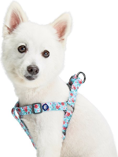 Blueberry Pet Essentials Spring Scent Inspired Garden Floral Step-in Dog Harness, Pastel Blue, Medium: 20 to 26-in chest slide 1 of 6