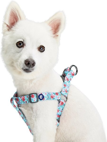 Blueberry Pet Essentials Spring Scent Inspired Garden Floral Step-in Dog Harness, Pastel Blue, Large: 26 to 39-in chest slide 1 of 6