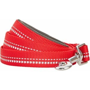 Blueberry Pet 3M Reflective Pastel Color Dog Leash, Red, Small: 5-ft long, 5/8-in wide