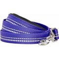 Blueberry Pet 3M Reflective Pastel Color Dog Leash, Violet, Medium: 5-ft long, 3/4-in wide