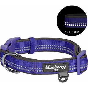Blueberry Pet Soft & Safe 3M Neoprene Padded Adjustable Reflective Dog Collar, Violet, Large: 18 to 26-in neck