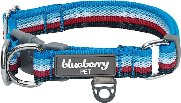 Blueberry Pet Multi-Colored Stripe Adjustable Dog Collar, Azure Blue & Raspberry Red, Medium: 14.5 to 20-in neck slide 1 of 6