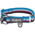 Blueberry Pet Multi-Colored Stripe Adjustable Dog Collar, Azure Blue & Raspberry Red, Large: 18 to 26-in neck