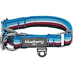 Azure Blue & Raspberry Red