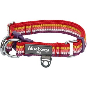 Blueberry Pet Multi-Colored Stripe Adjustable Dog Collar, Mixed Tone Rainbow Color, Small: 12 to 16-in neck