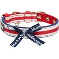 Blueberry Pet Bon Voyage Sea Lover Dog Collar, Horizontal Red Stripes, Small: 9 to 12.5-in neck