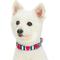 Show in main carousel: Blueberry Pet Bon Voyage Sea Lover Dog Collar, Chunky Nautical Blue Stripes, Small: 9 to 12.5-in neck slide 2 of 6