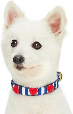 Show full view: Blueberry Pet Bon Voyage Sea Lover Dog Collar, Chunky Nautical Blue Stripes, Small: 9 to 12.5-in neck slide 2 of 6