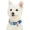 Show in main carousel: Blueberry Pet Bon Voyage Sea Lover Dog Collar, Chunky Nautical Blue Stripes, Small: 9 to 12.5-in neck slide 3 of 6