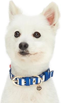 Show full view: Blueberry Pet Bon Voyage Sea Lover Dog Collar, Chunky Nautical Blue Stripes, Small: 9 to 12.5-in neck slide 3 of 6
