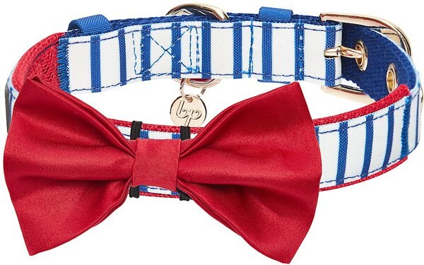 Blueberry Pet Bon Voyage Sea Lover Dog Collar, Classic Vertical Blue Stripes, Medium: 13 to 16.5-in neck slide 1 of 6