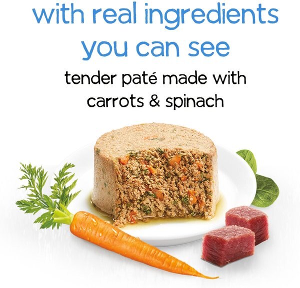 Purina Beneful Infused Pate with Real Lamb, Carrots & Spinach Wet Dog Food