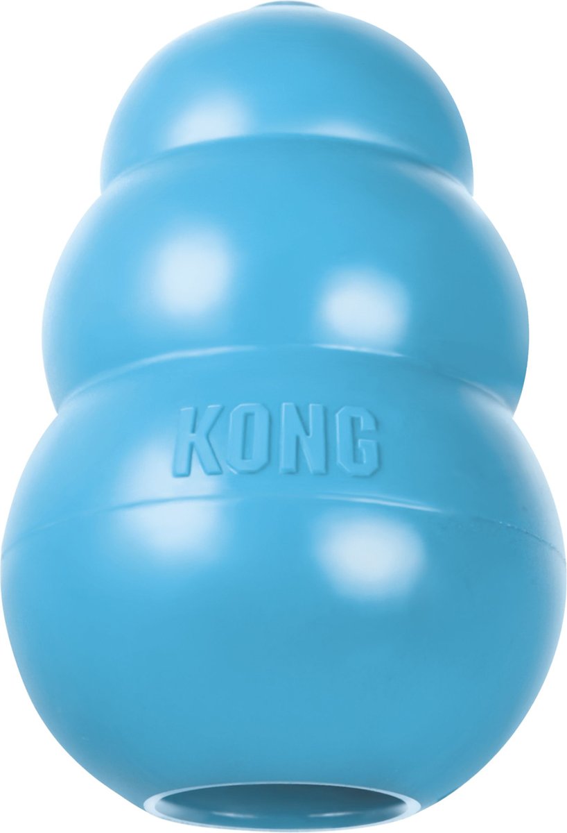 Blue shop kong toy