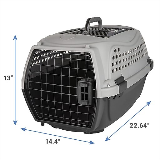Frisco Two Door Plastic Dog & Cat Kennel, 22-in, Grey, Small