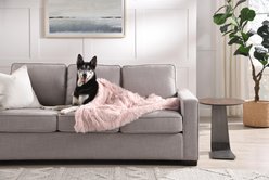 Best Friends by Sheri Throw Shag Dog & Cat Blanket, Cotton Candy, Jumbo