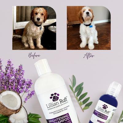 Show full view: Lillian Ruff Brightening Dog & Cat Shampoo & Leave in Conditioner Set, 16-fl oz & 8-fl oz bottle slide 4 of 10