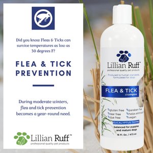 Lillian Ruff Flea & Tick Dog Shampoo, 16-fl oz bottle