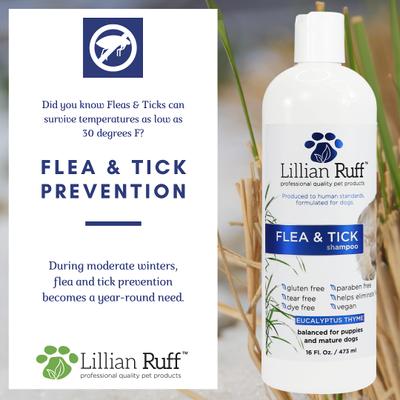 Show full view: Lillian Ruff Flea & Tick Dog Shampoo, 16-fl oz bottle slide 4 of 10