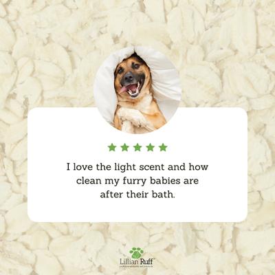 Show full view: Lillian Ruff Oatmeal Dog & Cat Shampoo & Conditioner Set, 16-fl oz bottles, pack of 2 slide 5 of 9