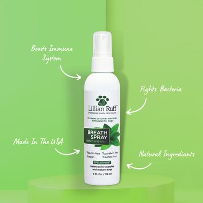 Show full view: Lillian Ruff Quick Refresh Dog & Cat Shampoo Set, 16-fl oz bottle & 4-fl oz bottle, pack of 2 slide 2 of 9