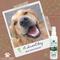 Show in main carousel: Lillian Ruff Quick Refresh Dog & Cat Shampoo Set, 16-fl oz bottle & 4-fl oz bottle, pack of 2 slide 5 of 9