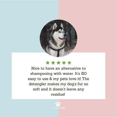 Show full view: Lillian Ruff Waterless Dog & Cat Shampoo & Leave in Conditioner Set, 1 16-fl oz bottle & 1 8-fl oz bottle slide 5 of 10