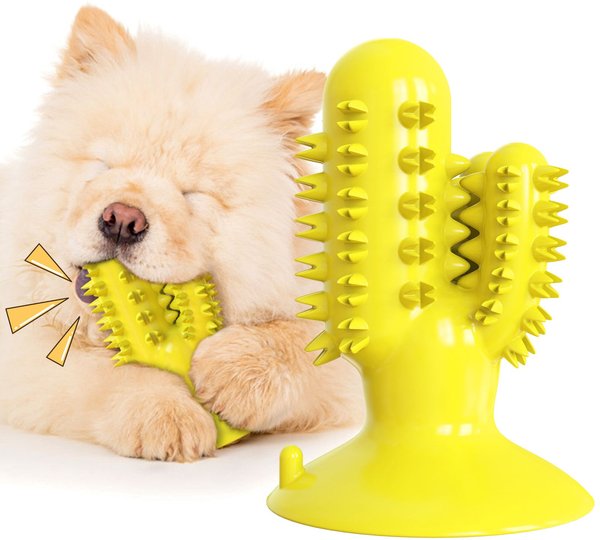 ALL FOR PAWS Dog Chew Toy,Dumbell Puppy Teething Chew Toys