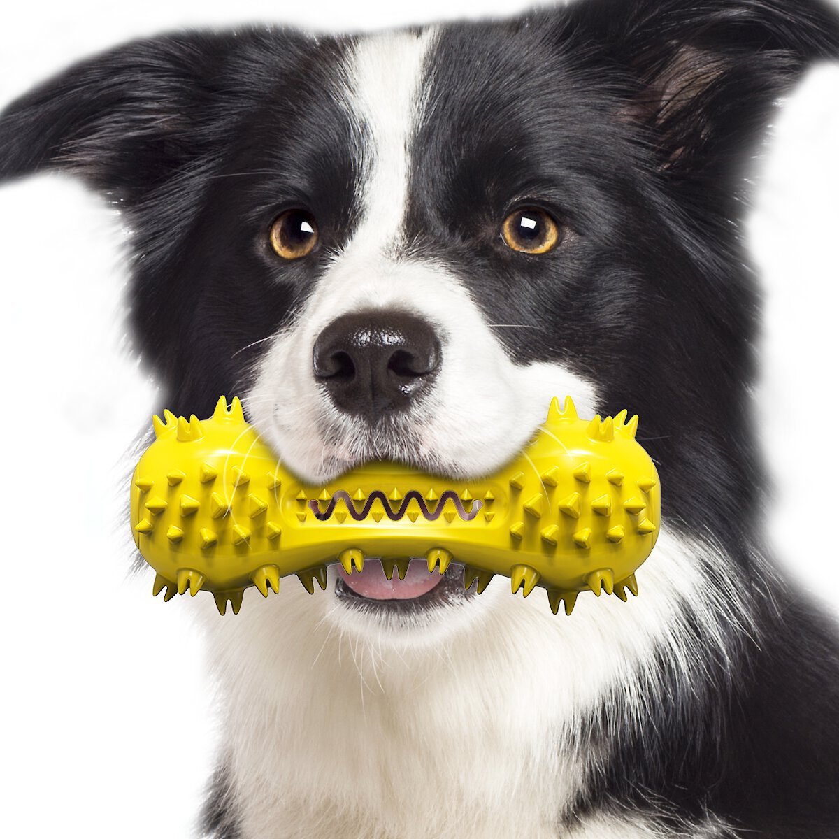 Toothbrush Dog Chew Toy