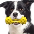 HANAMYA Bone-Shaped Toothbrush Dog Chew Toy, Yellow