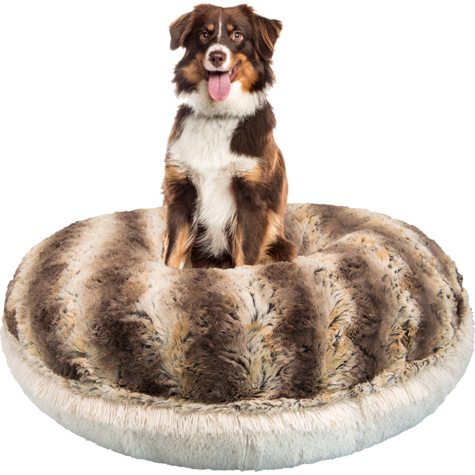 Australian Shepherd Beanbag