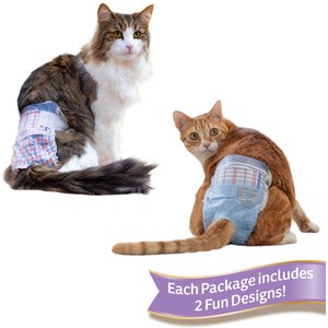 Chewy discount cat diapers