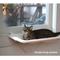 Show in main carousel: Prevue Pet Products Tabby Napper Cat Window Perch Kit slide 3 of 10