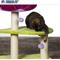 Show in main carousel: Prevue Pet Products Flower Power 28.3-in Faux Fur Cat Tree slide 10 of 11