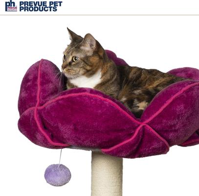 Show full view: Prevue Pet Products Flower Garden 44.5-in Faux FleeceCat Tree slide 9 of 11