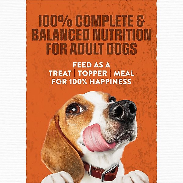 Show full view: Moist & Meaty Burger with Cheddar Cheese Flavor Dry Dog Food, 6-oz pouch, case of 72 slide 7 of 11