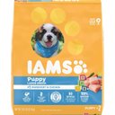 Iams ProActive Health Smart Puppy Large Breed Dry Dog Food, 30.6-lb bag, bundle of 2