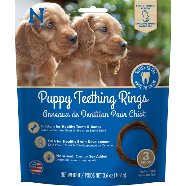 NBONE Puppy Teething Ring Pumpkin Flavor Dog Treats, 6 count