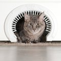 Purrfect Portal with Brush Interior Cat Door