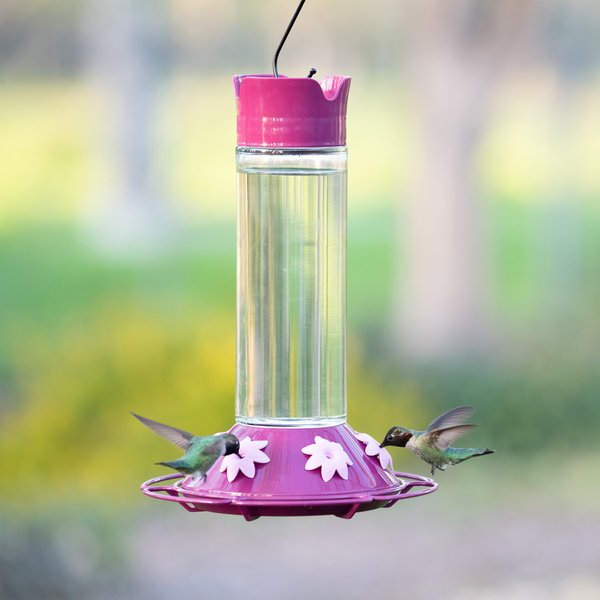 PERKYPET Our Best Royal Berry Hummingbird Feeder
