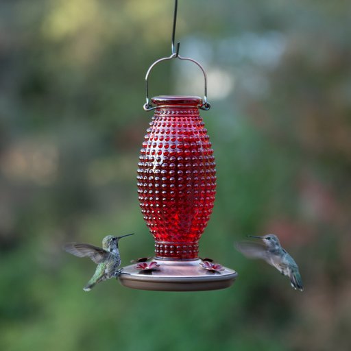 Perky-Pet Red Hobnail Vintage Hummingbird Feeder