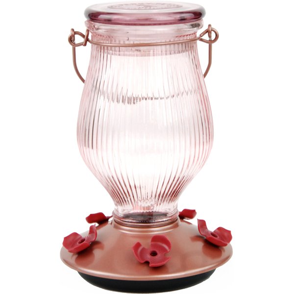 Pennington 32 Oz Decorative Glass Hummingbird Feeder Shelly Lighting