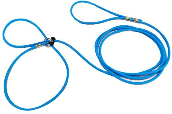 Piggy Poo and Crew 12' Adjustable Mini Pig Harness & Leash, Baby Blue slide 1 of 7