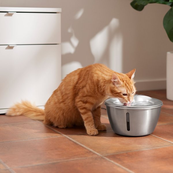 Frisco Stainless Steel Heart Dog & Cat Fountain